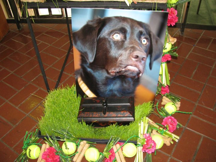 A Service to Remember