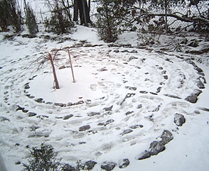 winter garden