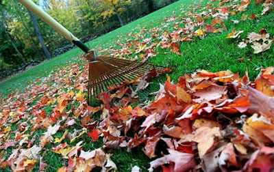 Rake