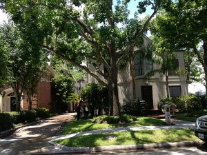 West University Place