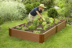 Raised beds