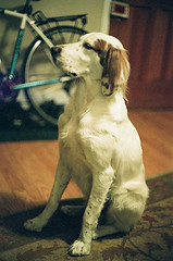 Sit