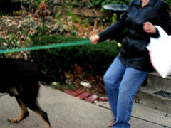 Walk on a Leash