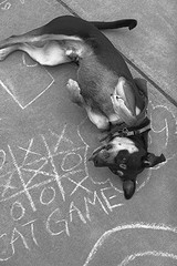 Roll Over