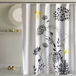 It’s Curtains For The Curtain