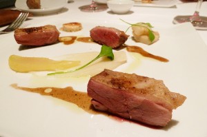 Duck