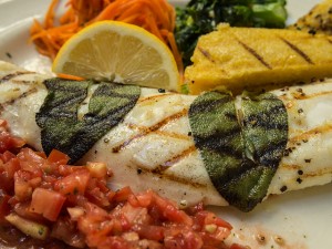 Halibut