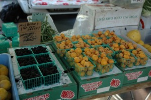 Locate Farmers Markets and CSAs