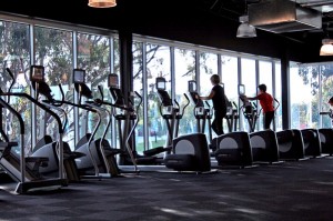 Hit the Gym