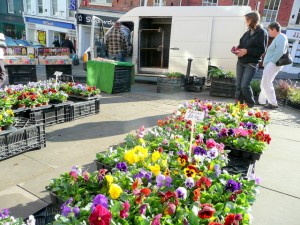 Calendar Local Herb and Plant Festivals