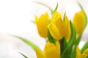 get ready for spring