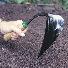 Korean Hand Plow