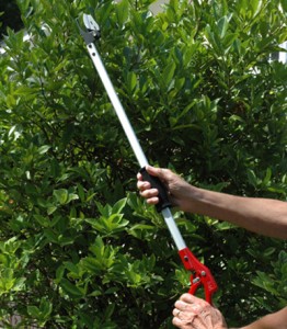 Long Reach Pruning Tool