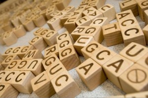 letter blocks