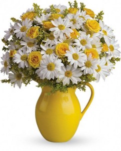 Daisies