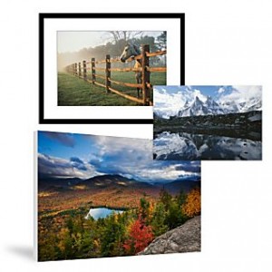 Photographs