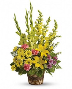 Snapdragons