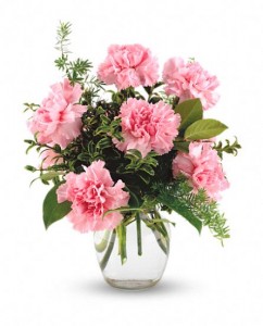 Carnations