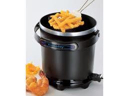 Counter top electric fryer