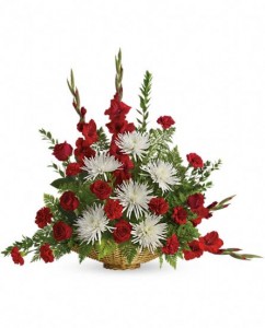 Chrysanthemums