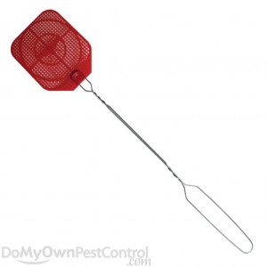 fly swatter