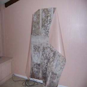 home moisture problems