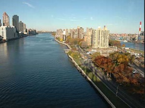 Roosevelt Island