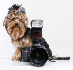  Pose For A Photo