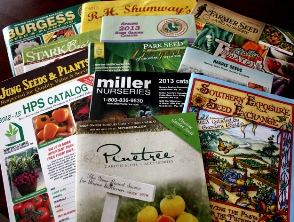 seed catalog ordering