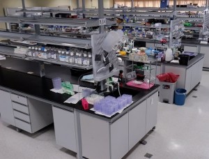 Employment Challenges