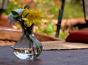 two flowers in vase