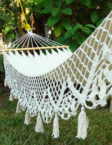 lacy hammock
