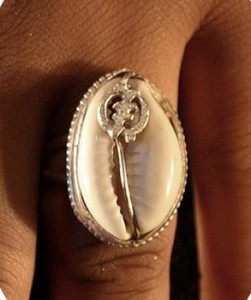 Cowrie shells