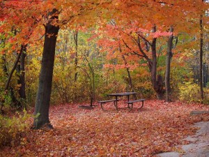 autumn camping