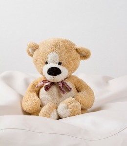 teady bear