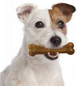 Oral hygiene chews