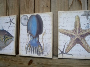coastal decor