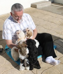 man with puppies