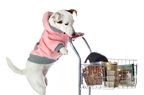 pet product shopping