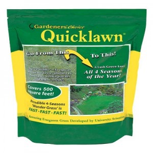 Grass Seed