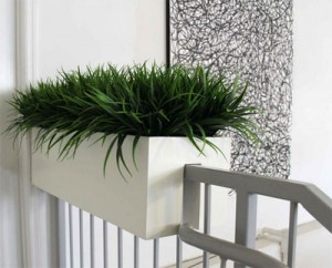 Landscape the office