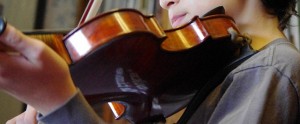 violin