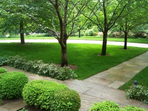 yard care