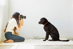 woman photographing dog
