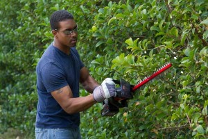 man trimming hedges