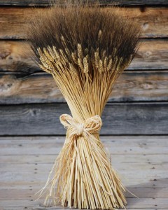 sheaves of wheat