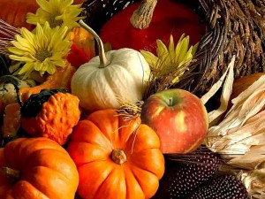 squash gourds and pumpkin
