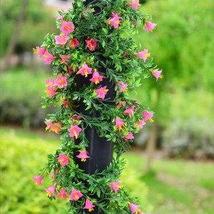 climbing flower vine with pink flowers