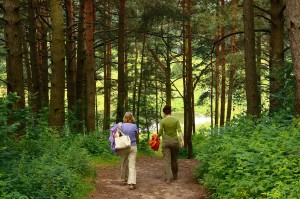 people walking in woods