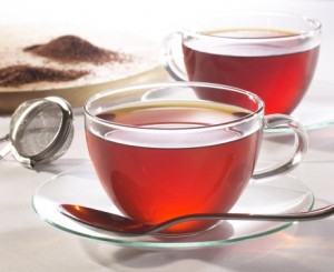 Rooibos